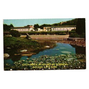California Academy Sciences Golden Gate Park Mike Roberts Vintage Postcard C5027